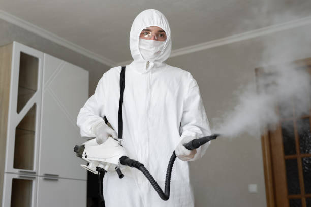 Why You Should Choose Our Mold Remediation Services in Hallam, PA